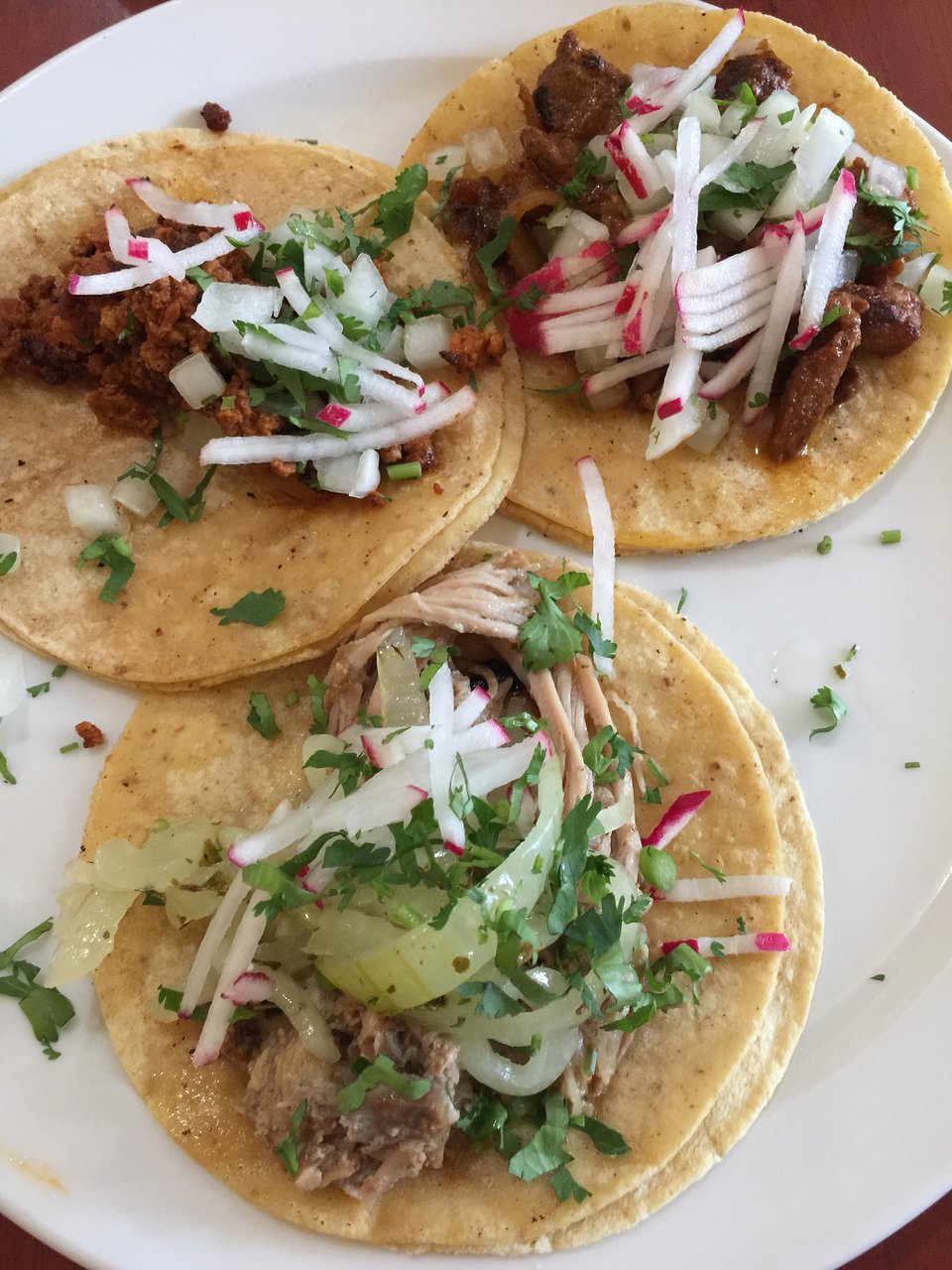5 Rabanitos Restaurante & Taqueria signature dishes Carne Asada, Cochinita Pibil (Yucatan-style slow-roasted pork), Carnitas, various Tacos, Tortas.